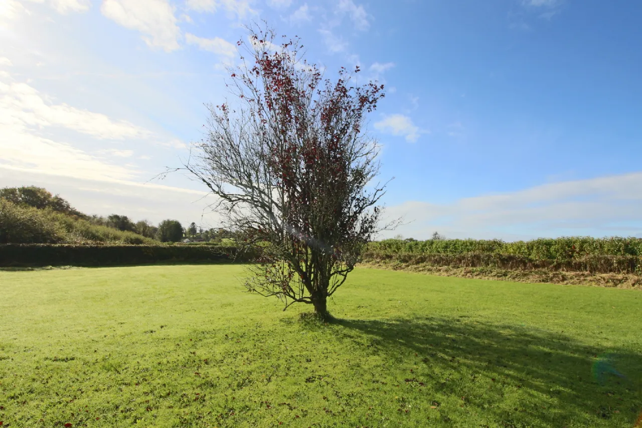 Photo of Rock Lodge, Clooncahir, Lough Rinn, Mohill, Co. Leitrim, N41 E656