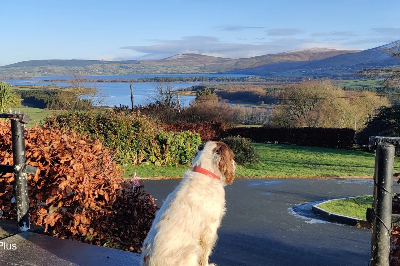 Photo of Calderstones, Johnstown, Blessington, Hollywood, Co Wicklow, W91 Y6F2