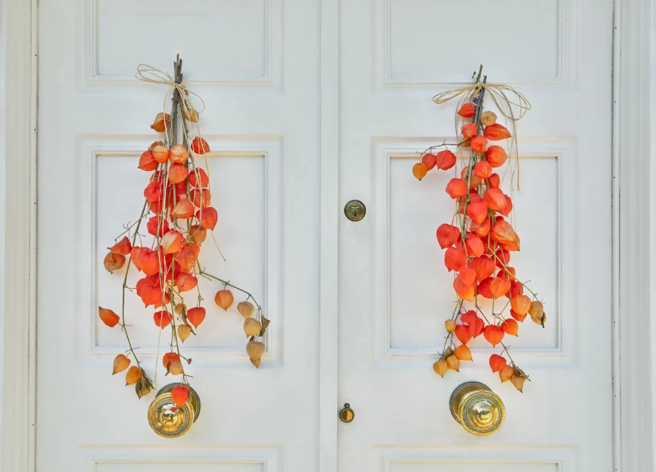 Photo of Bedford Lodge, Mount Prospect Avenue, Clontarf, Dublin 3, D03 P6P6