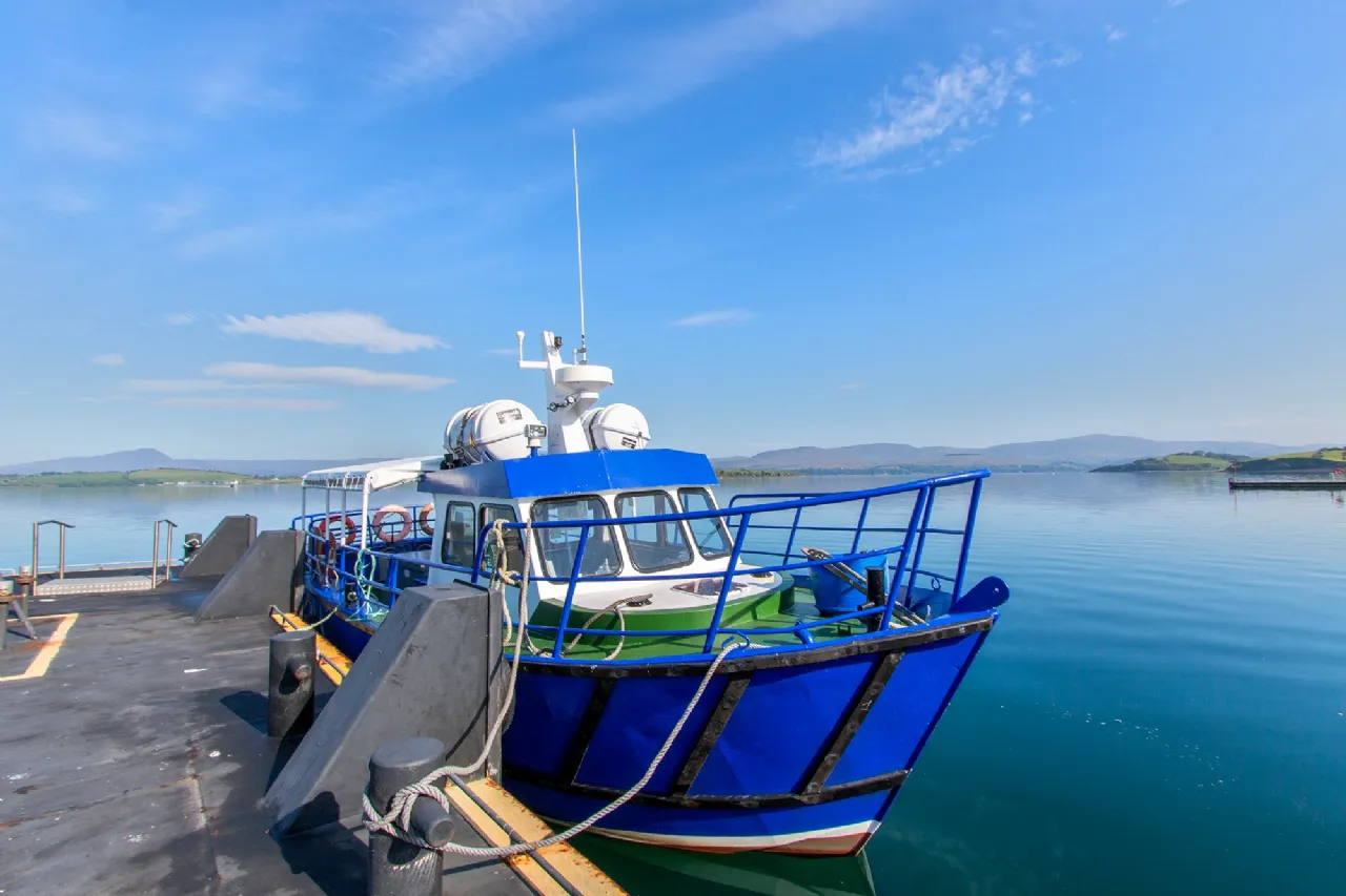 Photo of Whiddy Island, Bantry, County Cork, P75 EF25