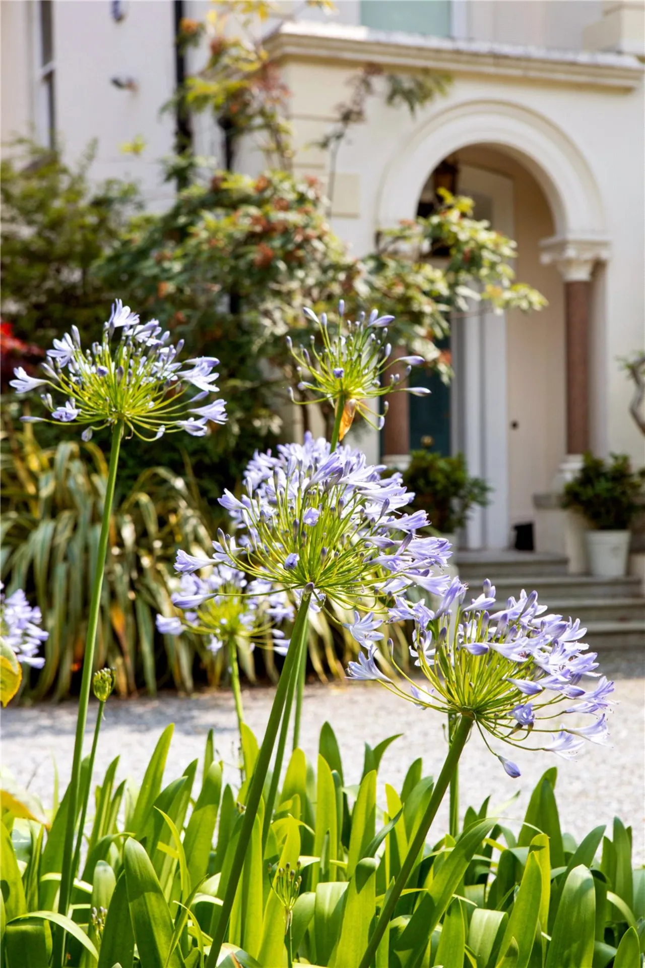 Photo of Annacreevy, Adelaide Road, Glenageary, Co.Dublin, A96 V5W7