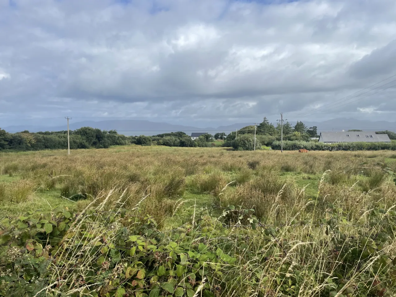 Photo of 28 Acre Farm Cottage & Outbuildings, Falduff, Louisburgh, Co. Mayo, F28DD85