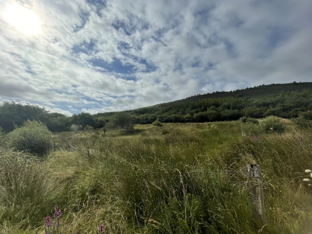Photo of 28 Acre Farm Cottage & Outbuildings, Falduff, Louisburgh, Co. Mayo, F28DD85