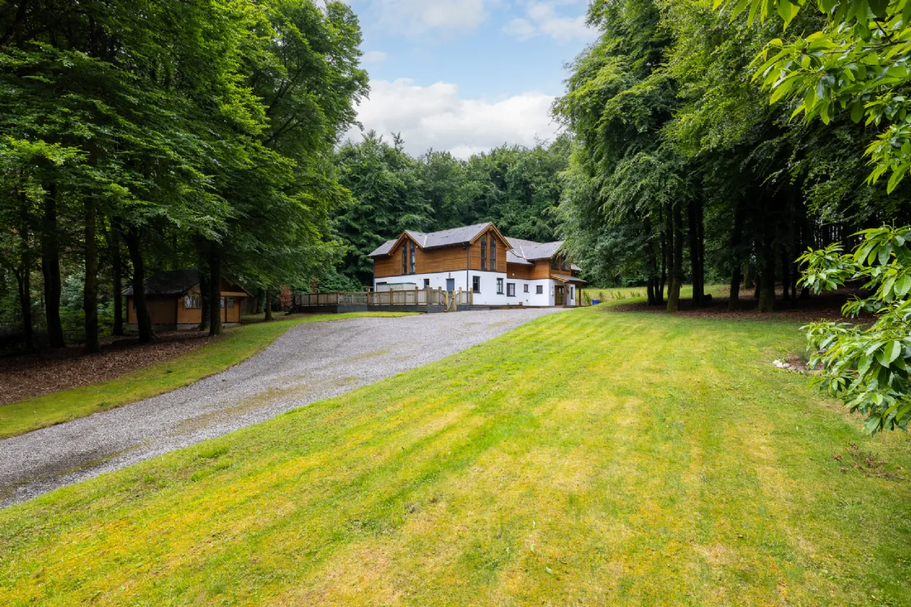 Photo of Sequoia, Killgibbon Wood, Bree, Enniscorthy, Co Wexford, Y21 DN79