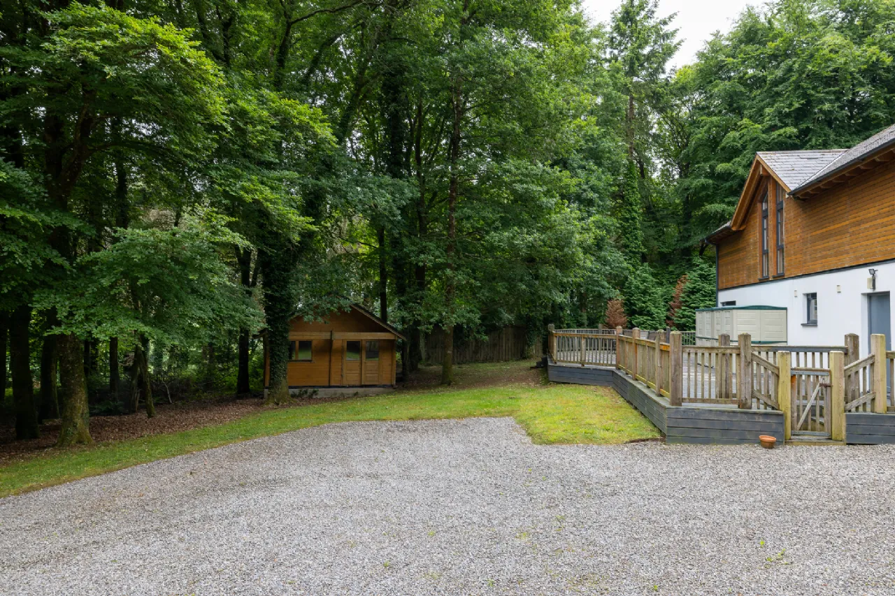Photo of Sequoia, Killgibbon Wood, Bree, Enniscorthy, Co Wexford, Y21 DN79