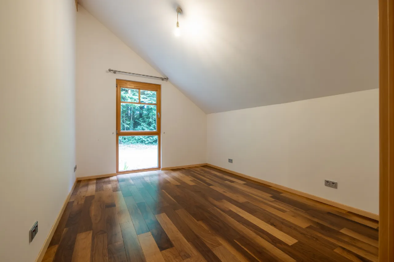 Photo of Sequoia, Killgibbon Wood, Bree, Enniscorthy, Co Wexford, Y21 DN79