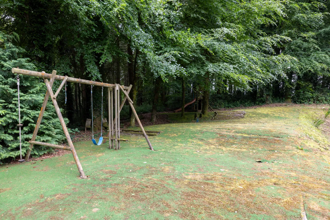 Photo of Sequoia, Killgibbon Wood, Bree, Enniscorthy, Co Wexford, Y21 DN79