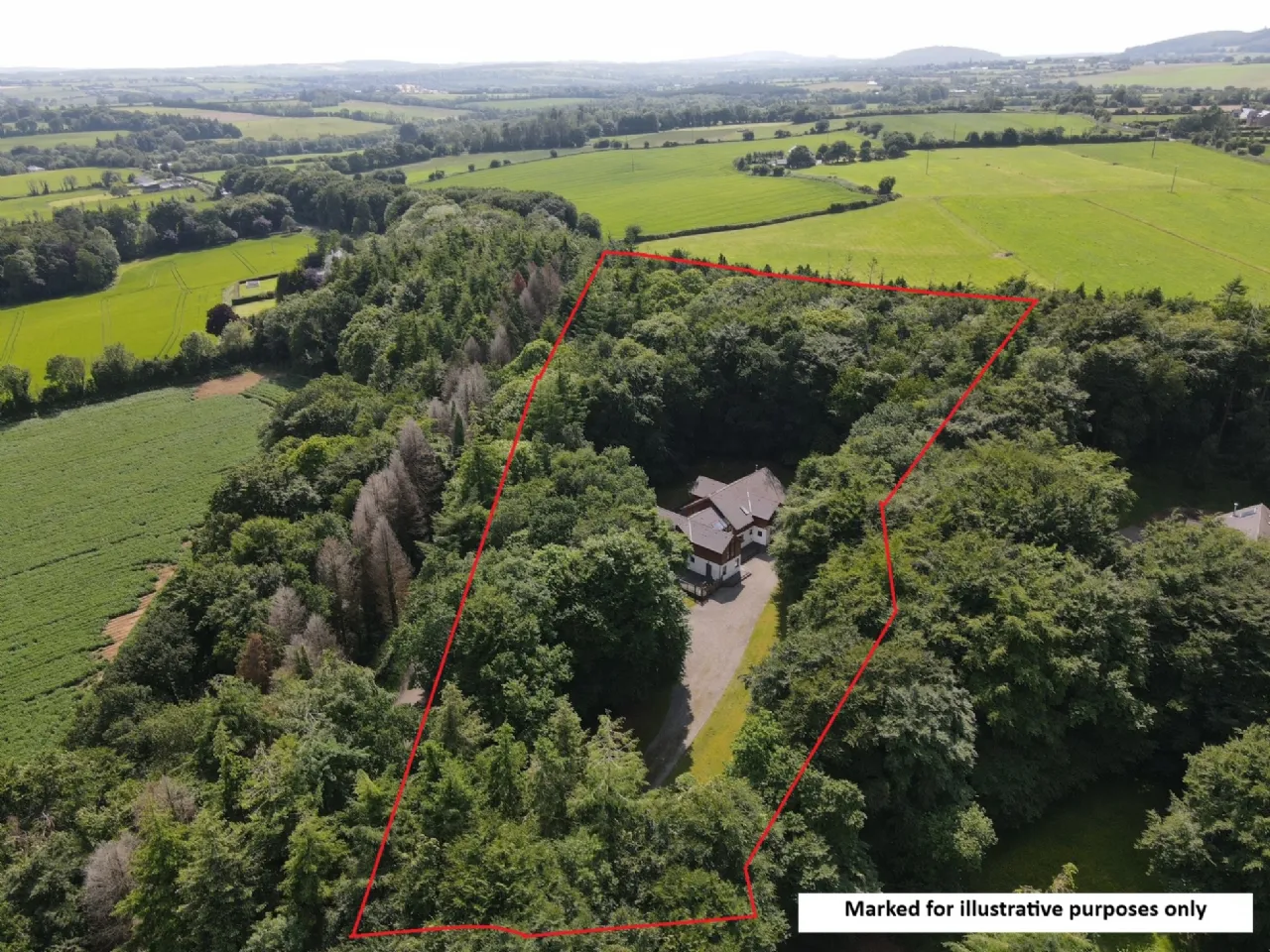 Photo of Sequoia, Killgibbon Wood, Bree, Enniscorthy, Co Wexford, Y21 DN79