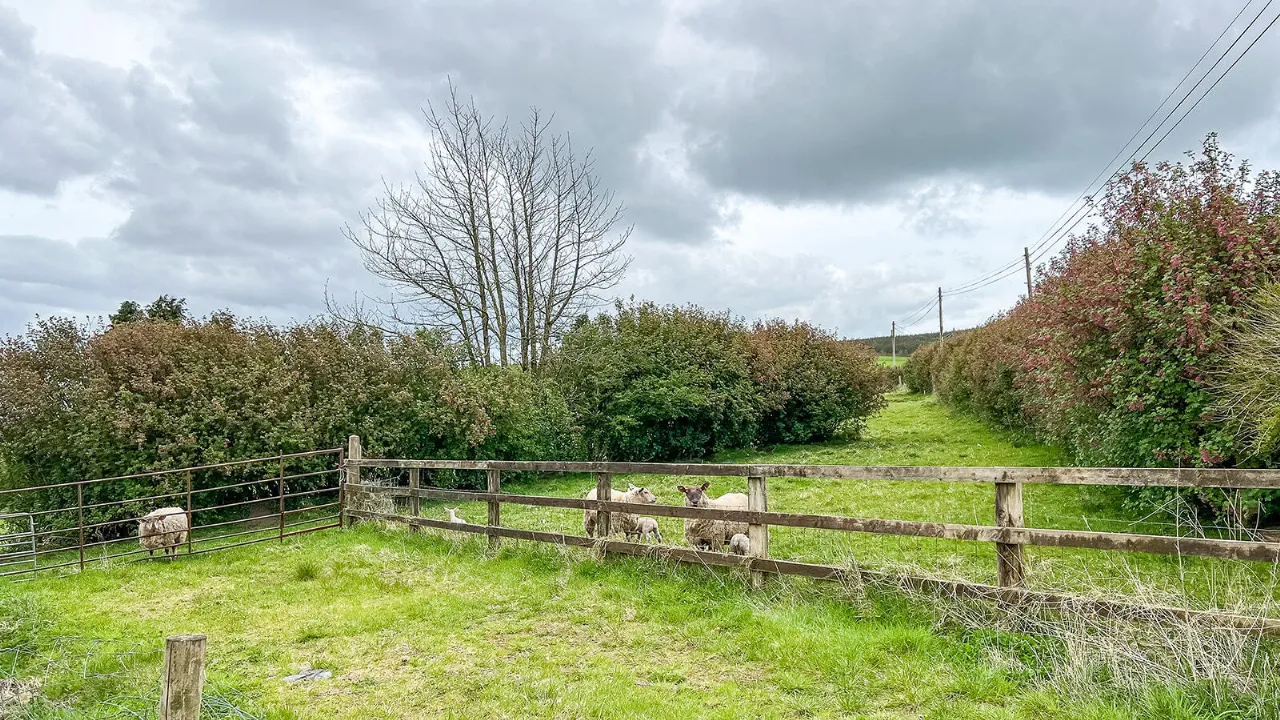 Photo of Cottage On Circa 1.16 Acres, Ballycuddihy, Johnstown, Co Kilkenny