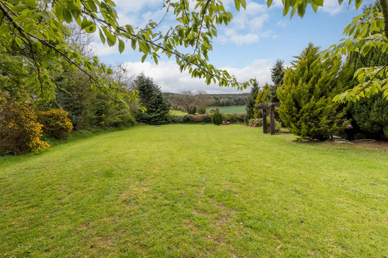 Photo of Clonamona Lane, Craanford, Gorey, Co. Wexford, Y25D437