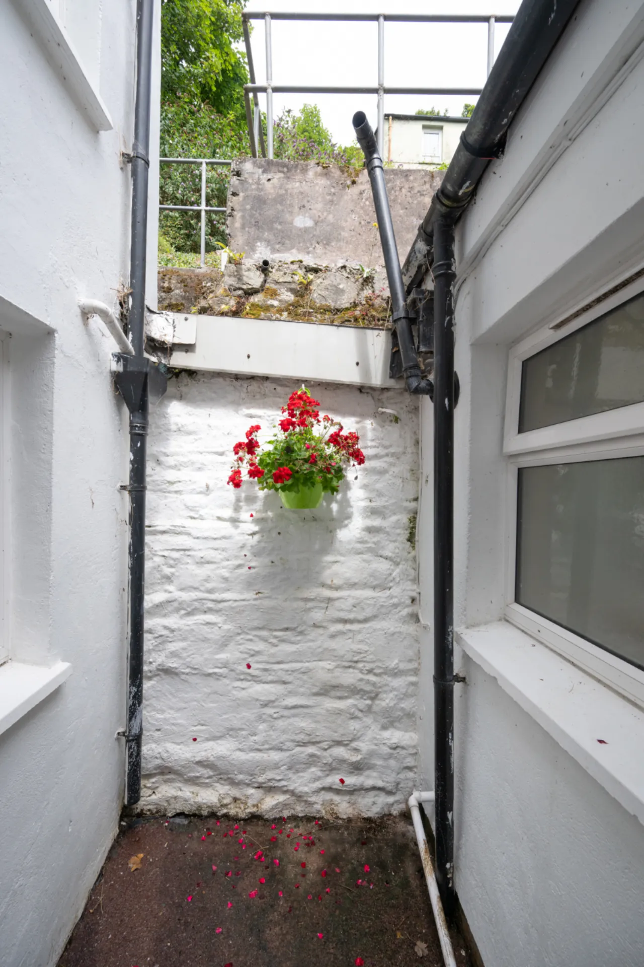 Photo of 1 Strawberry Cottages, Lee Road, Sundays Well, Cork, T23K12Y