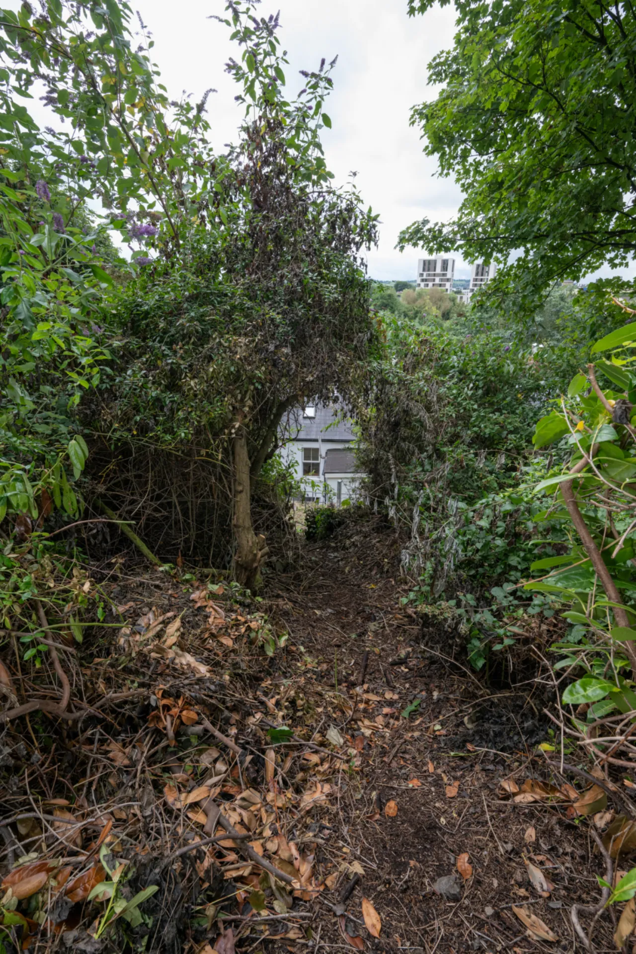 Photo of 1 Strawberry Cottages, Lee Road, Sundays Well, Cork, T23K12Y