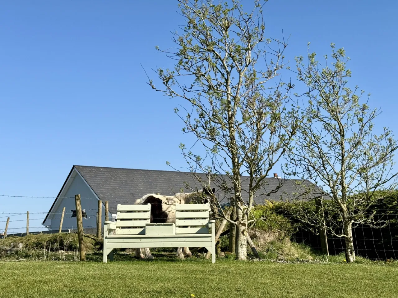 Photo of Carrownahaun, Balla, Co. Mayo, F23 E082