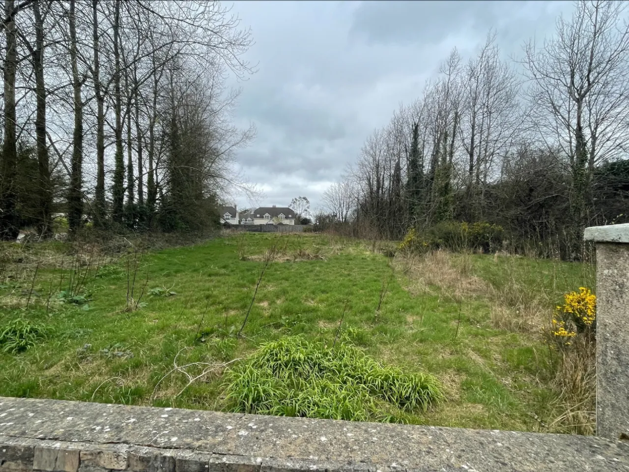 Photo of Clongeen Site, Clongeen, Co Wexford