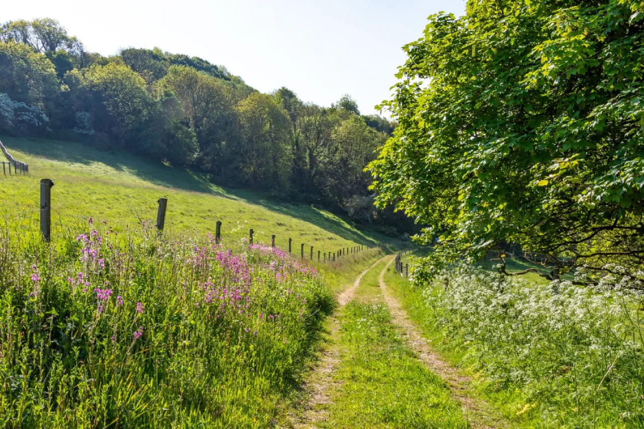 Photo of The Retreat, Lough Gur, Bruff, County Limerick, V35NX96