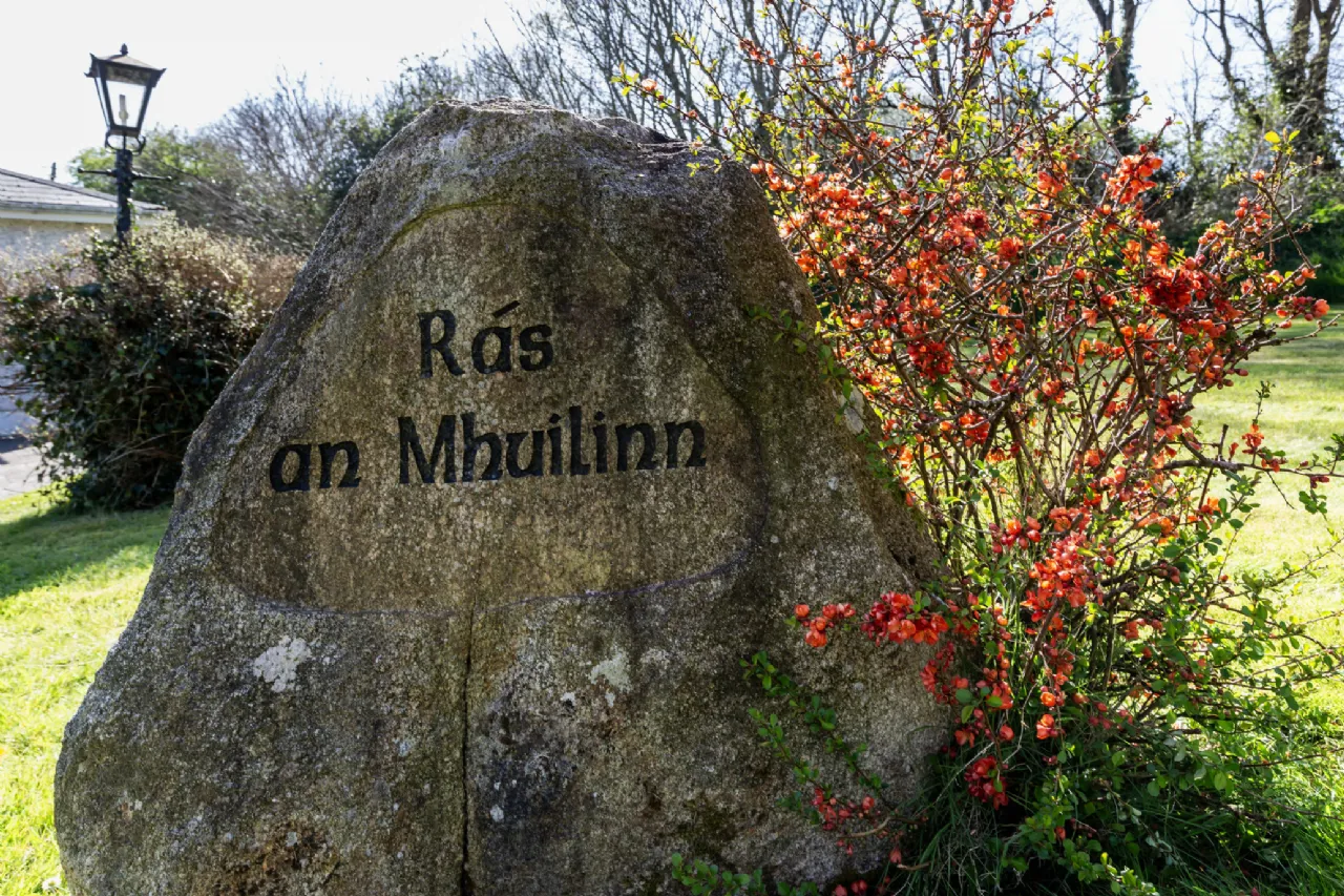 Photo of Ballyhow Lower, Screen, Co. Wexford, Y21 Y5P2