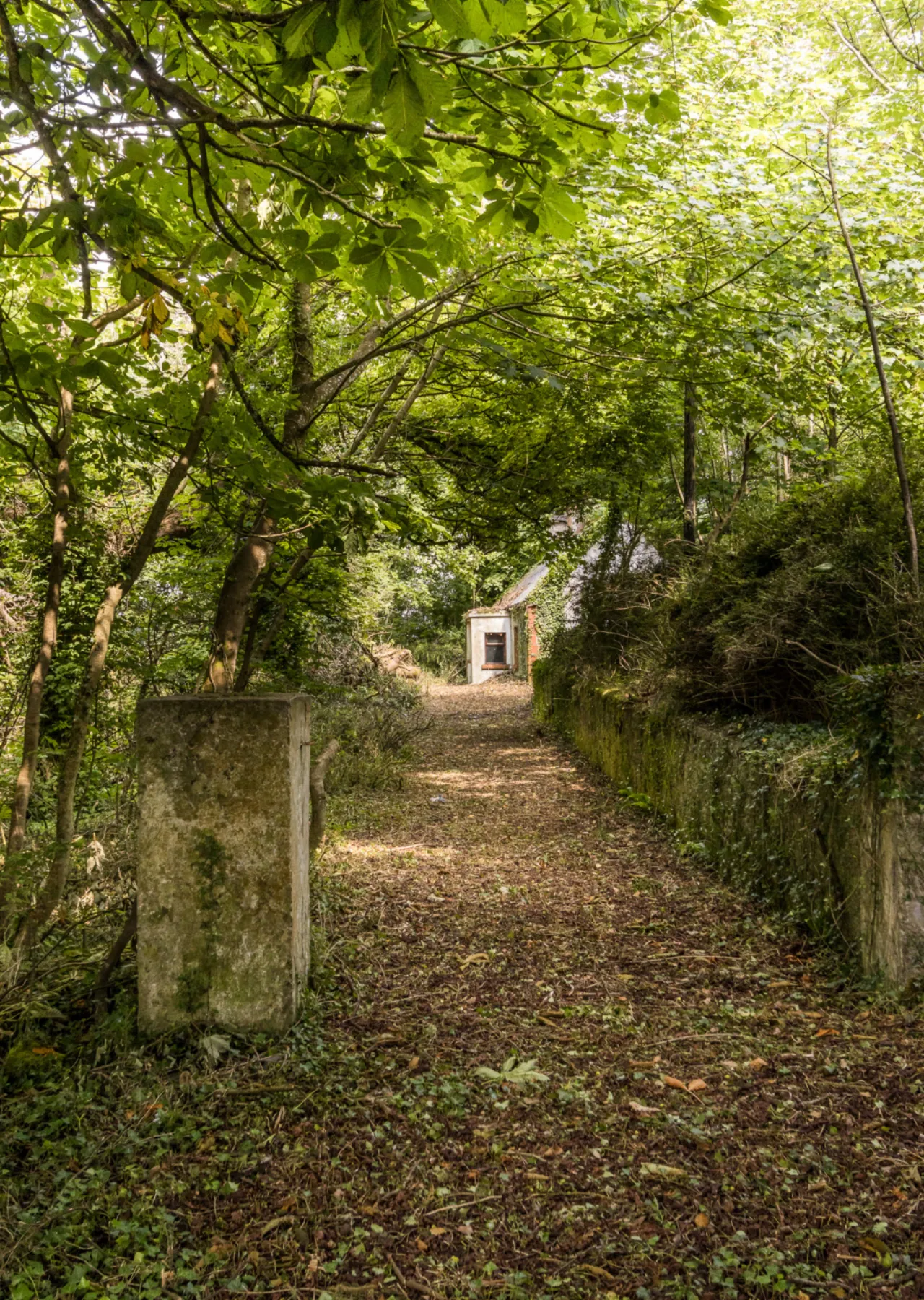 Photo of Leitrim,, Four Mile House,, Co. Roscommon