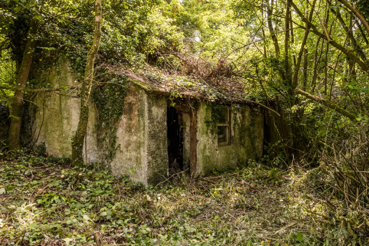 Photo of Leitrim,, Four Mile House,, Co. Roscommon