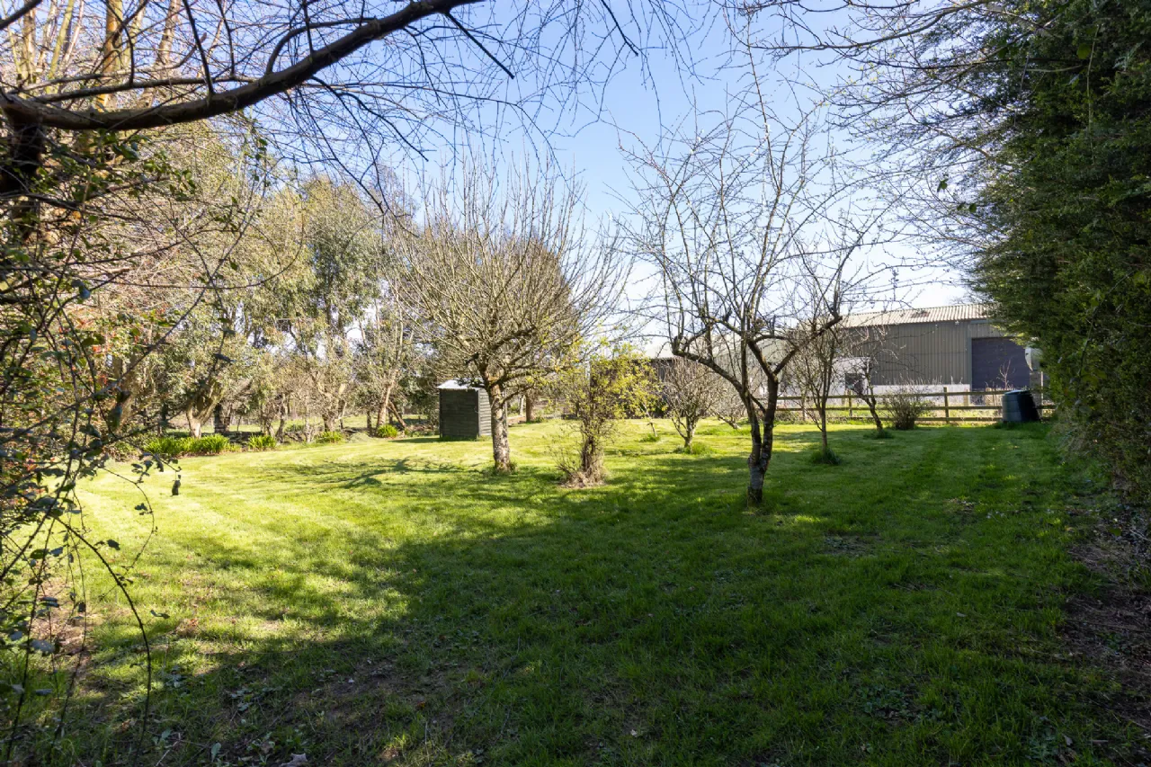 Photo of Ashlane, Coolook, Ballycanew, Gorey, Co. Wexford, Y25A449