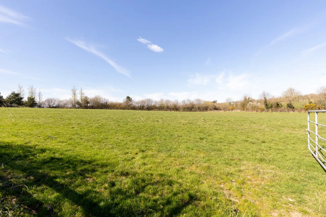 Photo of Ashlane, Coolook, Ballycanew, Gorey, Co. Wexford, Y25A449