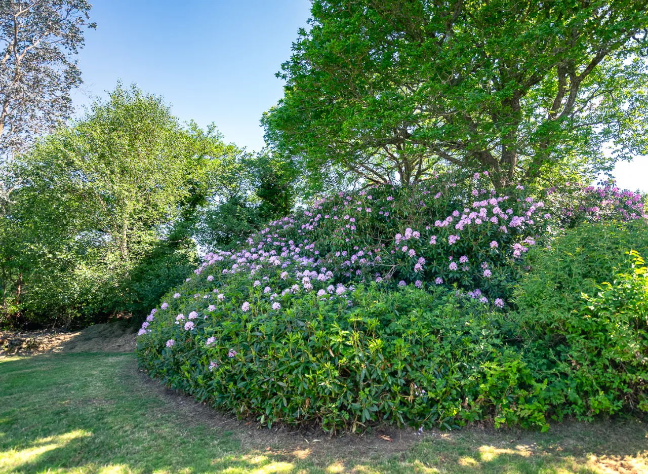 Photo of Havengate, Dawros, Kenmare, Co Kerry, V93 H2T2