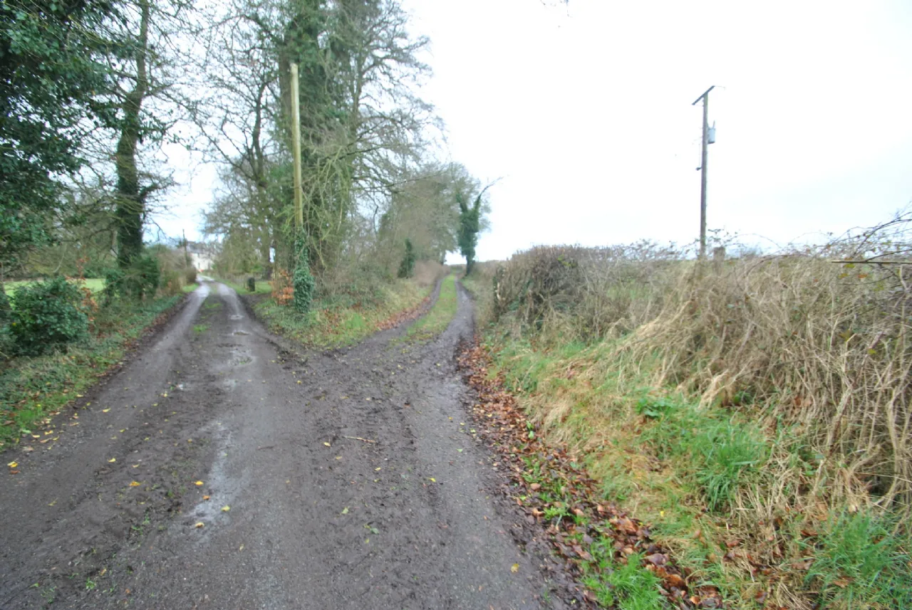 Photo of Lands, Belfield, Shinrone, Birr, Co Offaly