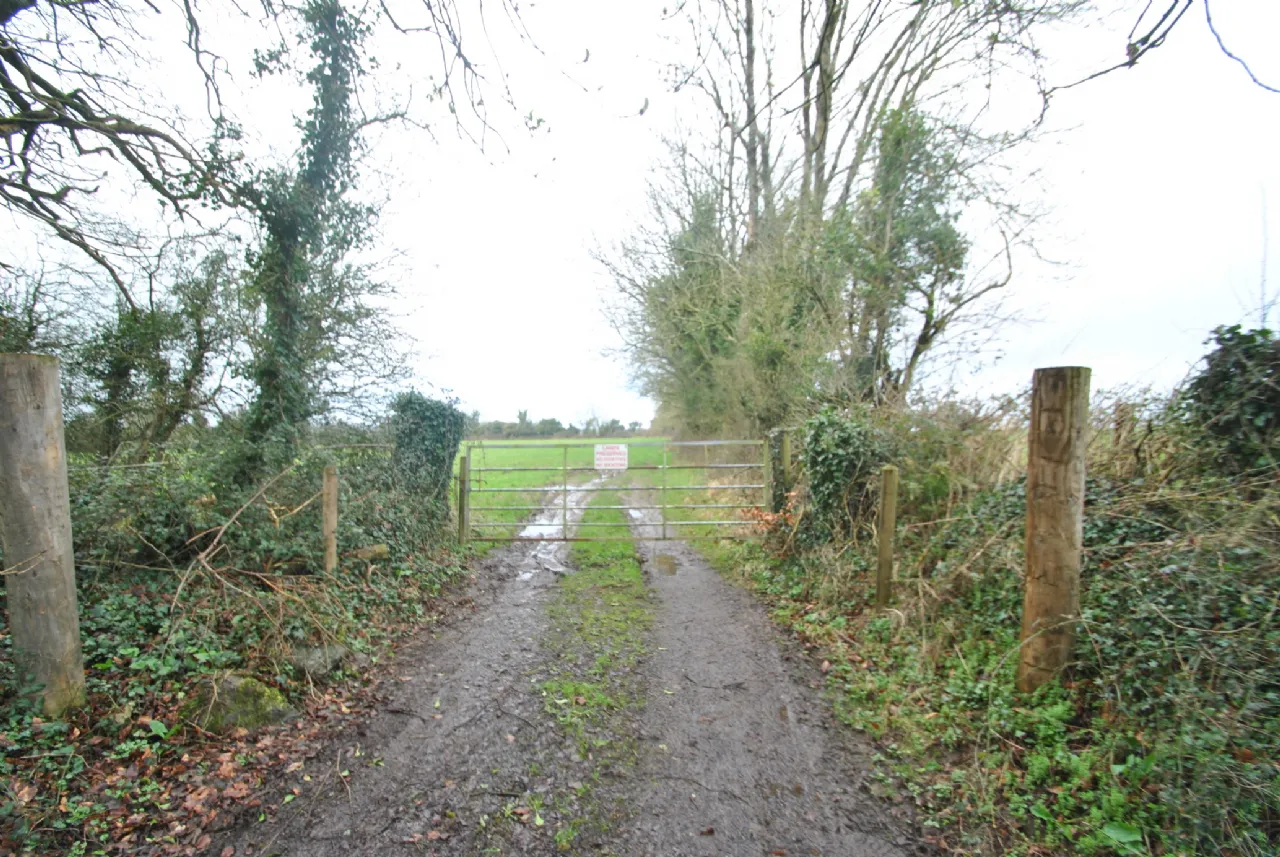 Photo of Lands, Belfield, Shinrone, Birr, Co Offaly