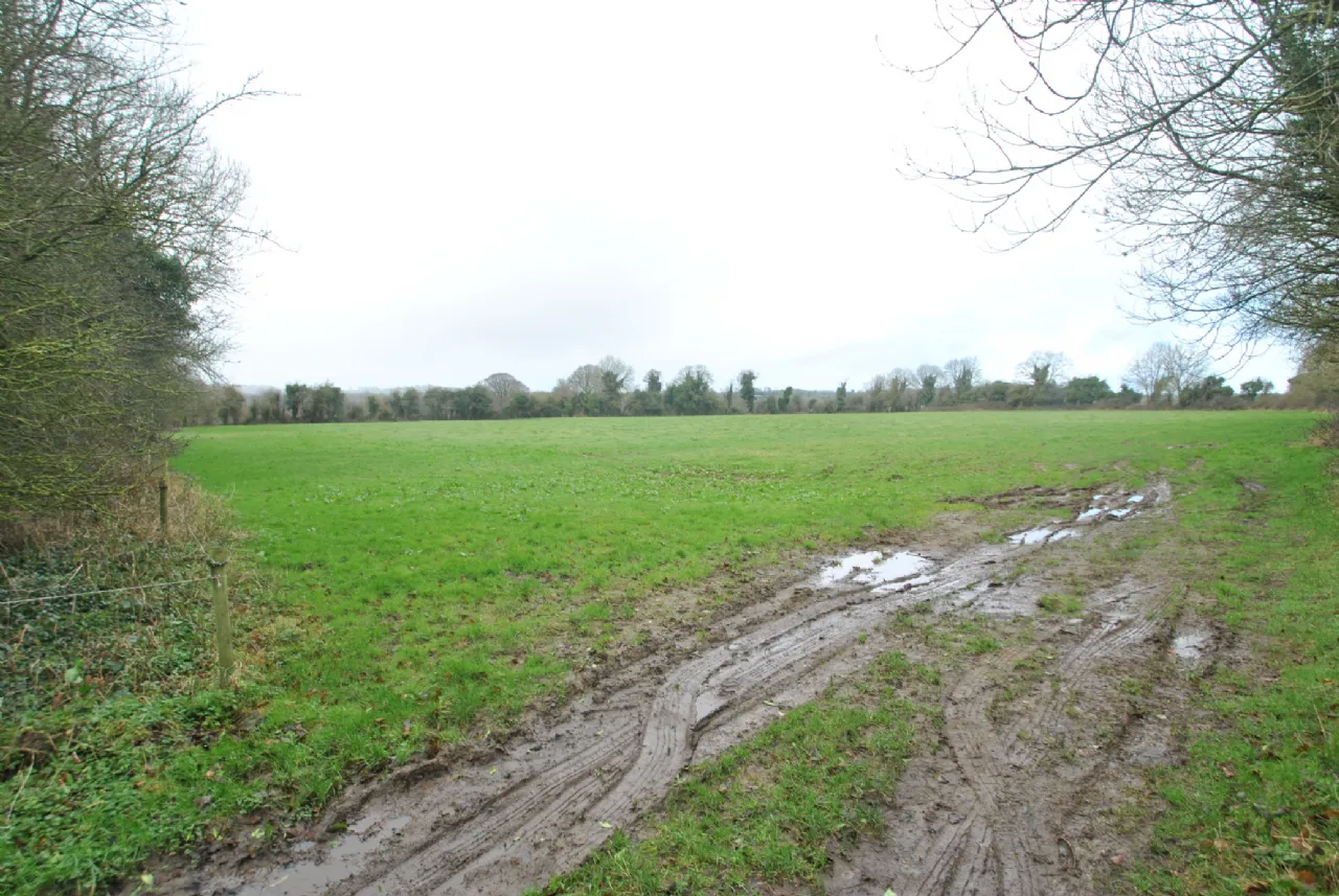 Photo of Lands, Belfield, Shinrone, Birr, Co Offaly