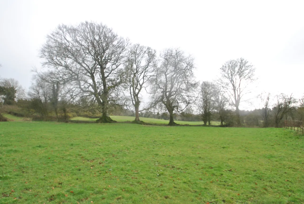 Photo of Lands, Belfield, Shinrone, Birr, Co Offaly