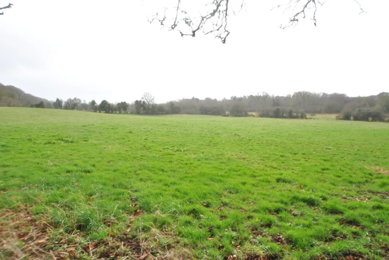 Photo of Lands, Belfield, Shinrone, Birr, Co Offaly