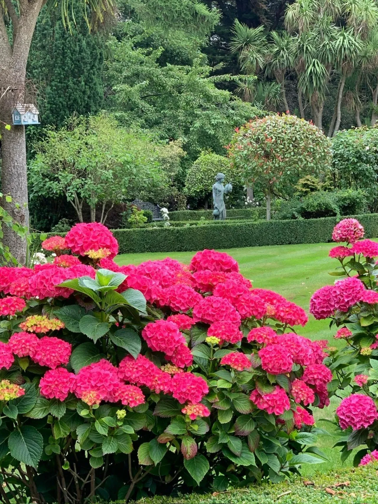 Photo of Torry, Brighton Road, Foxrock, Dublin 18, D18 Y9K6