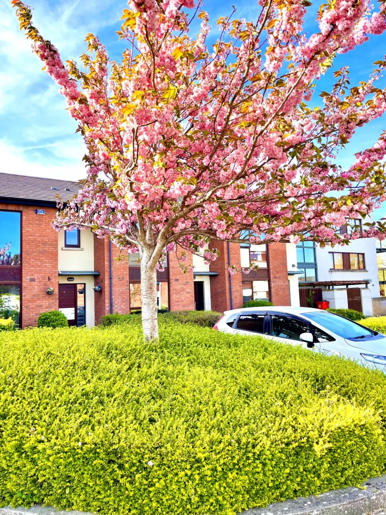 Photo of 4 Castlegate Lawn, Adamstown Castle, Co. Dublin, K78 E191