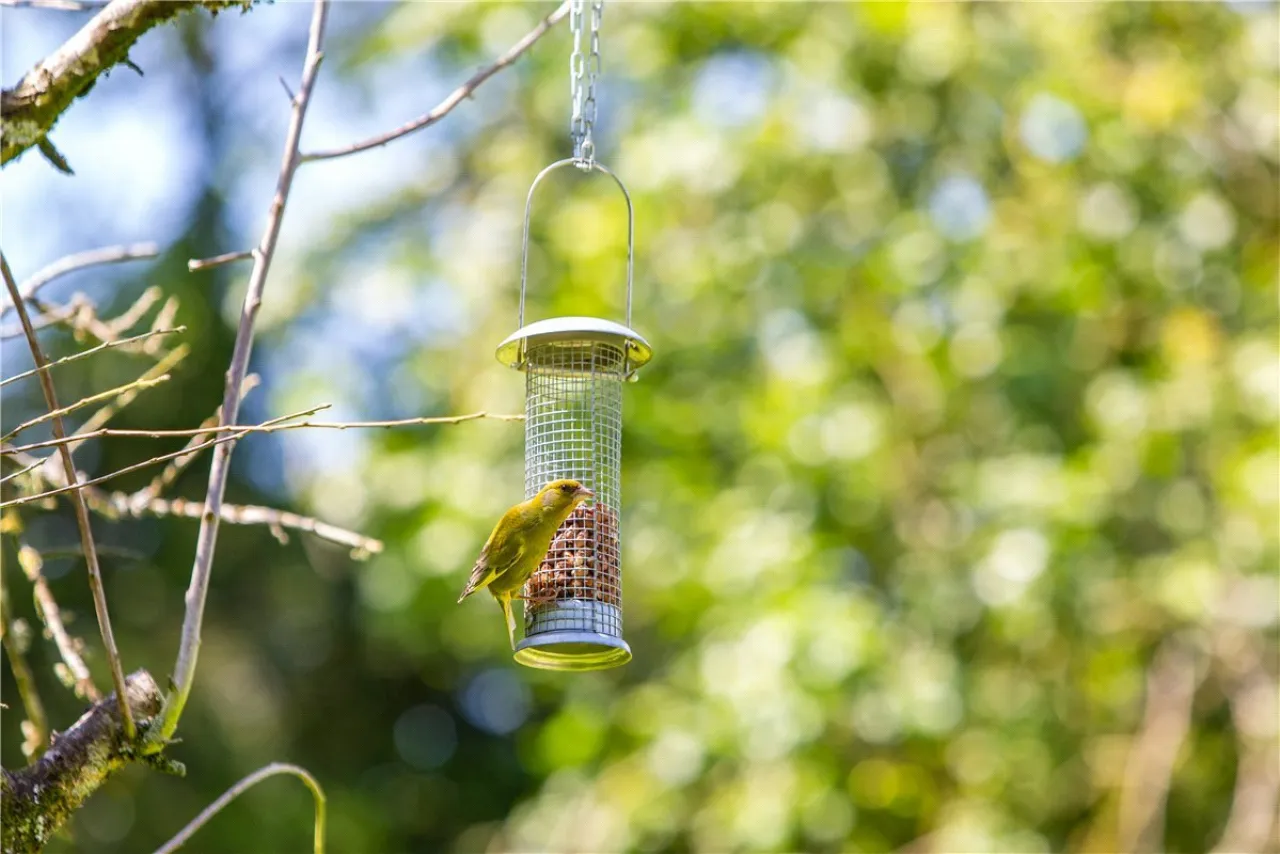 Photo of Ballydonagh House, Cloughjordan, Co. Offaly, E53 PR99
