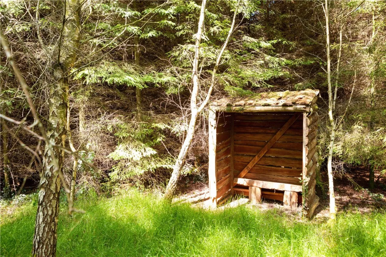 Photo of Ballydonagh House, Cloughjordan, Co. Offaly, E53 PR99