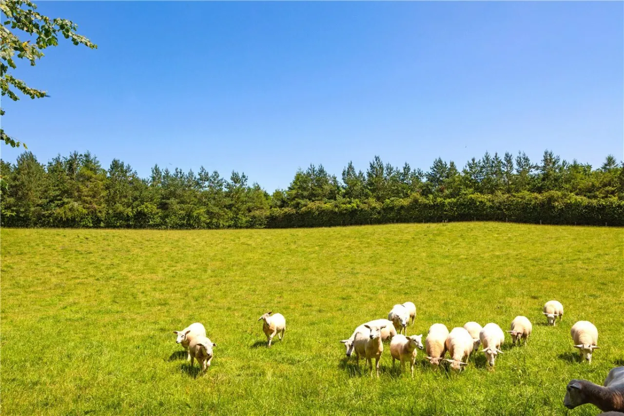 Photo of Ballydonagh House, Cloughjordan, Co. Offaly, E53 PR99