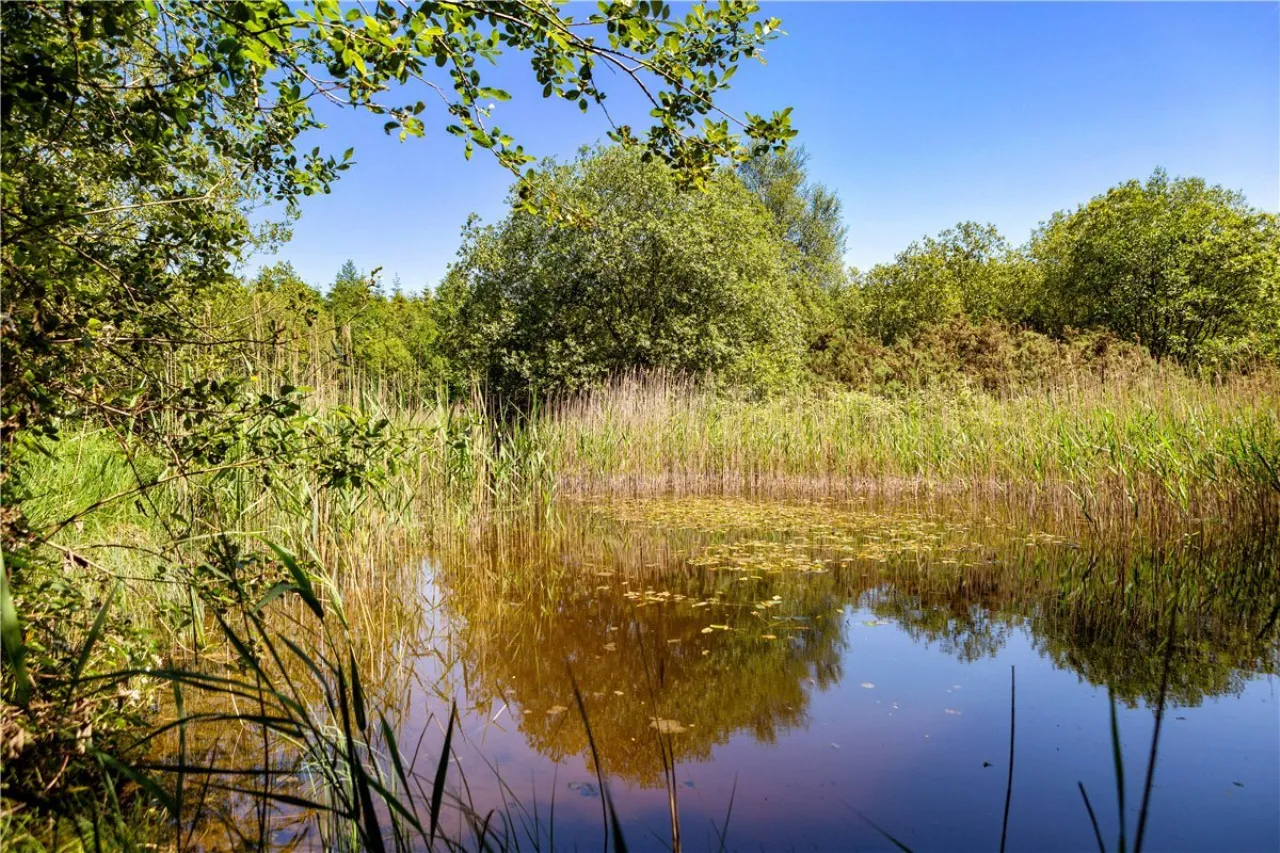Photo of Ballydonagh House, Cloughjordan, Co. Offaly, E53 PR99