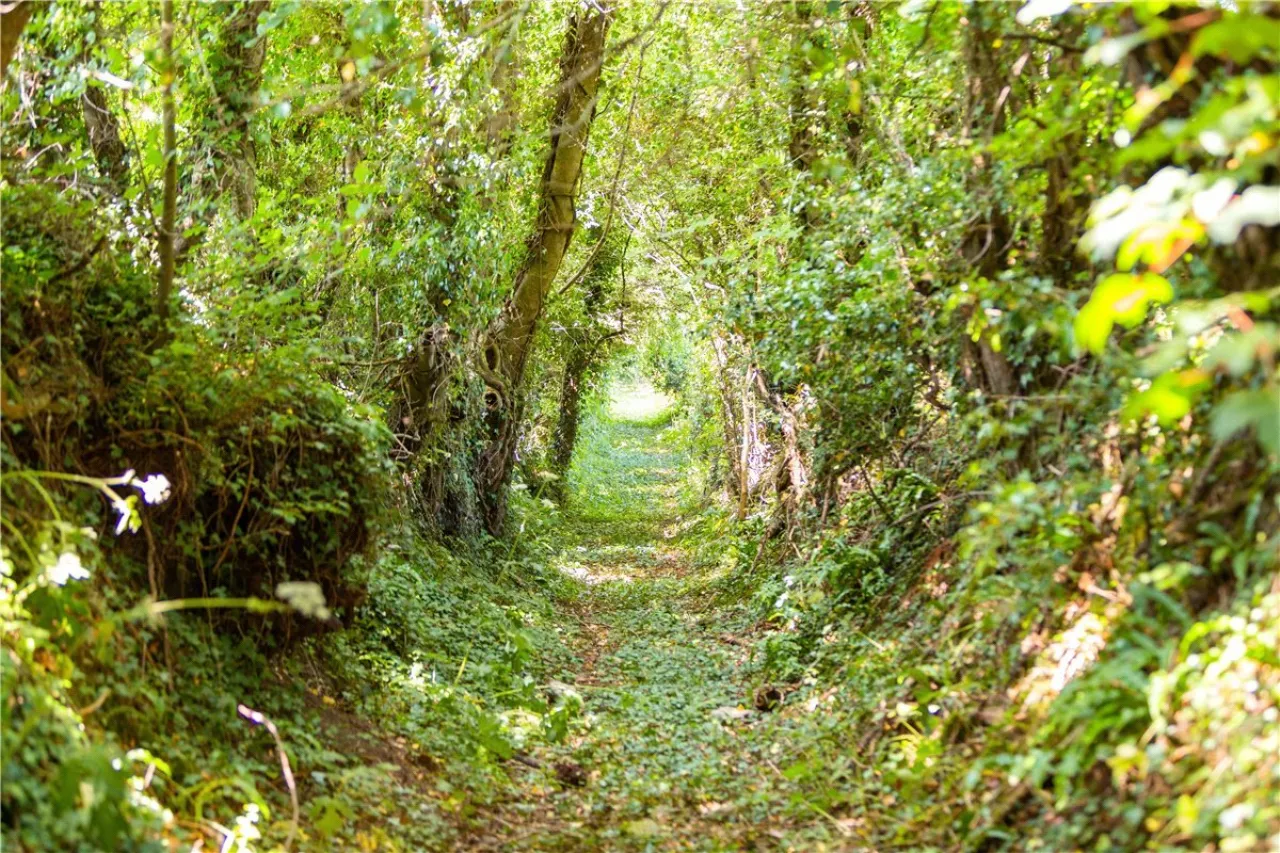 Photo of Ballydonagh House, Cloughjordan, Co. Offaly, E53 PR99