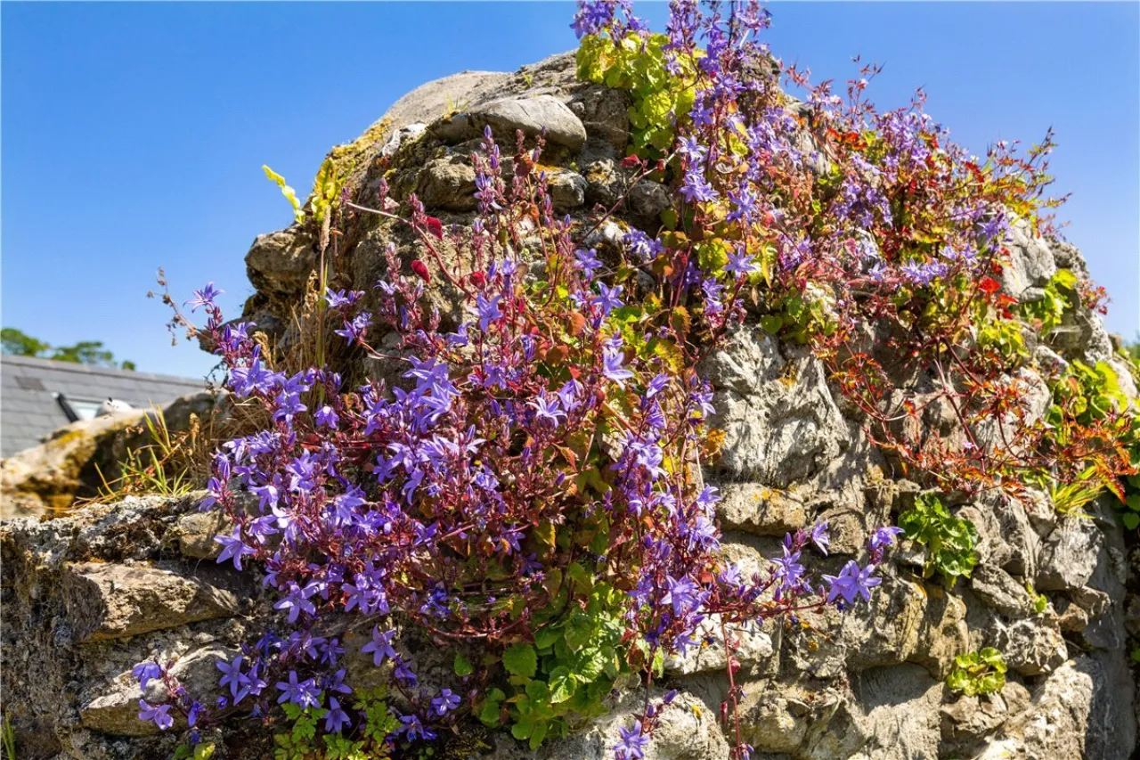 Photo of Ballydonagh House, Cloughjordan, Co. Offaly, E53 PR99