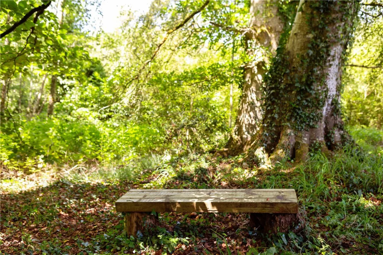 Photo of Ballydonagh House, Cloughjordan, Co. Offaly, E53 PR99