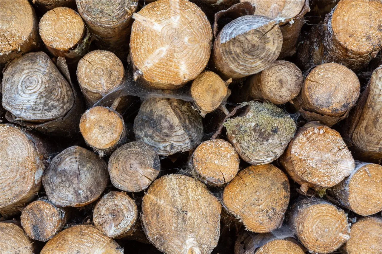 Photo of Ballydonagh House, Cloughjordan, Co. Offaly, E53 PR99