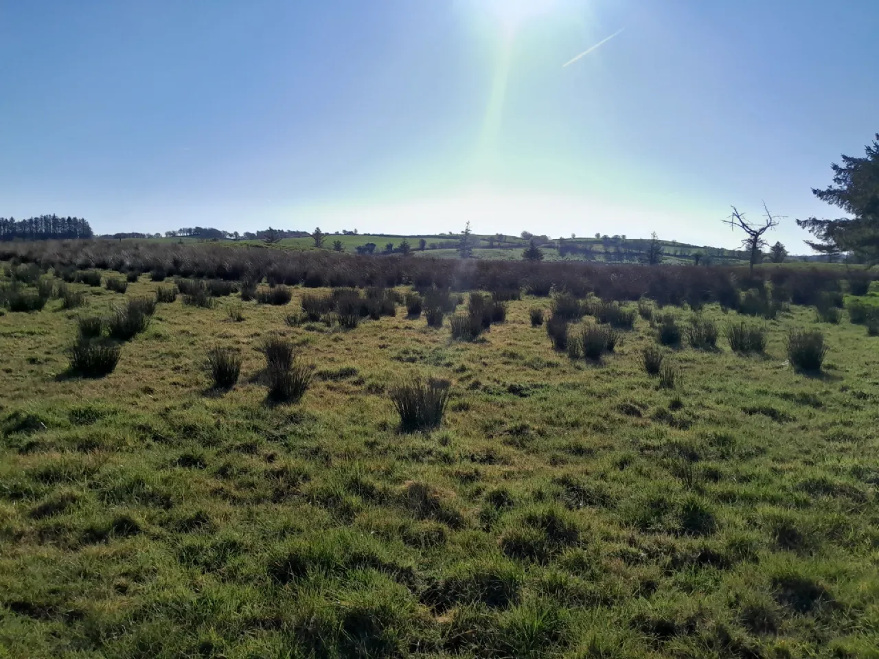 Photo of Meelick, Swinford, Co Mayo