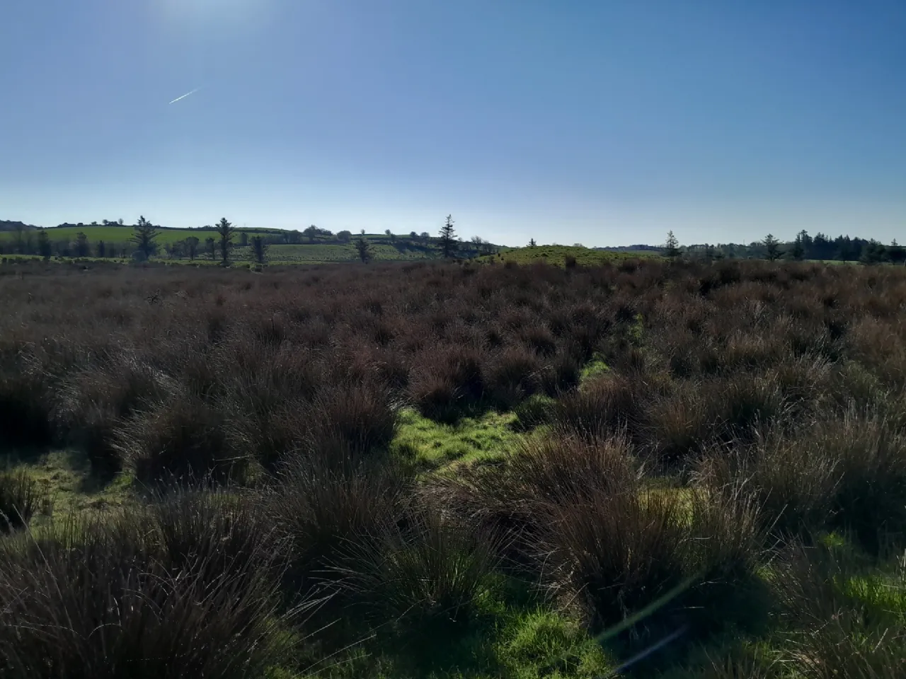 Photo of Meelick, Swinford, Co Mayo