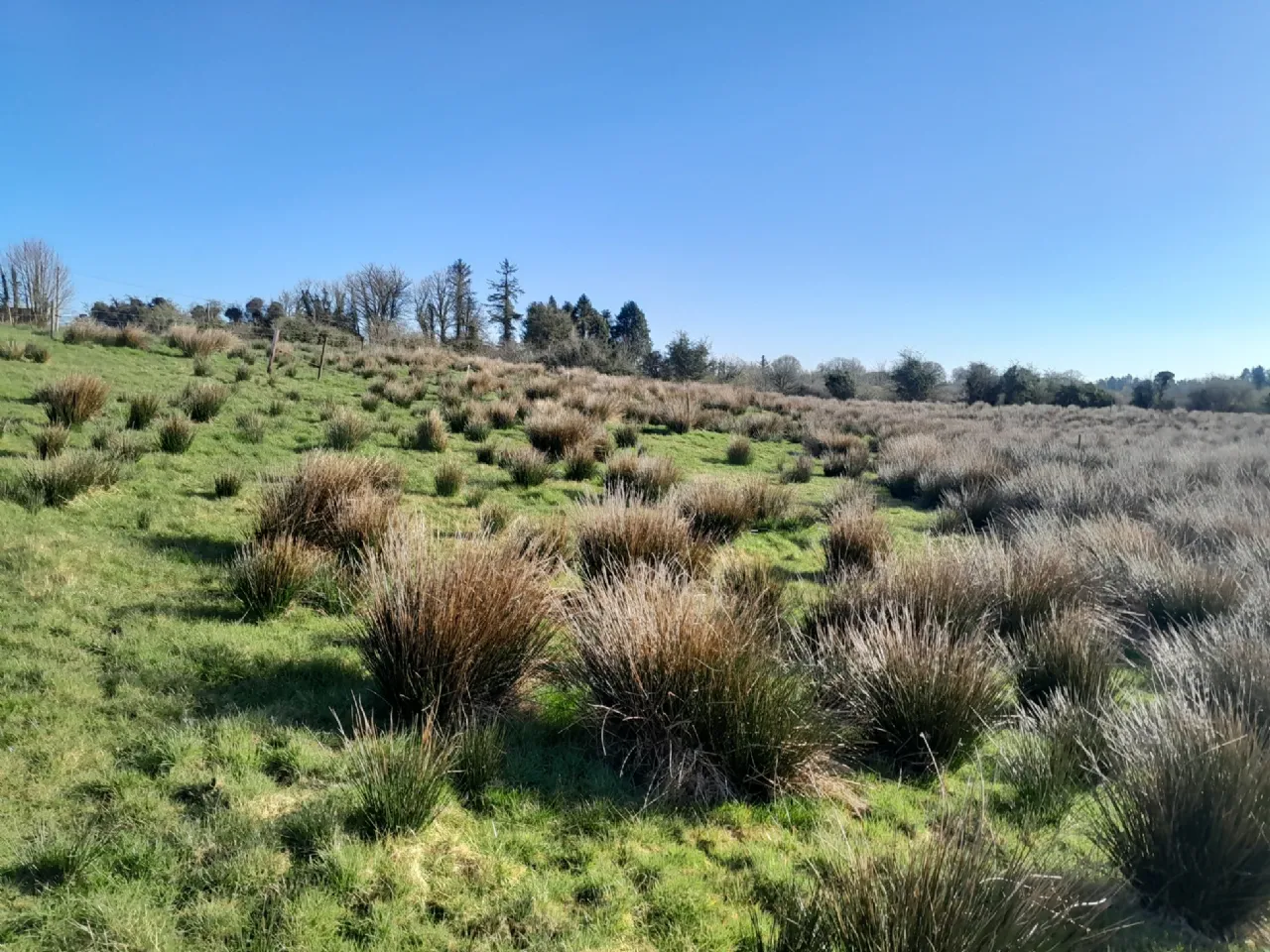 Photo of Meelick, Swinford, Co Mayo