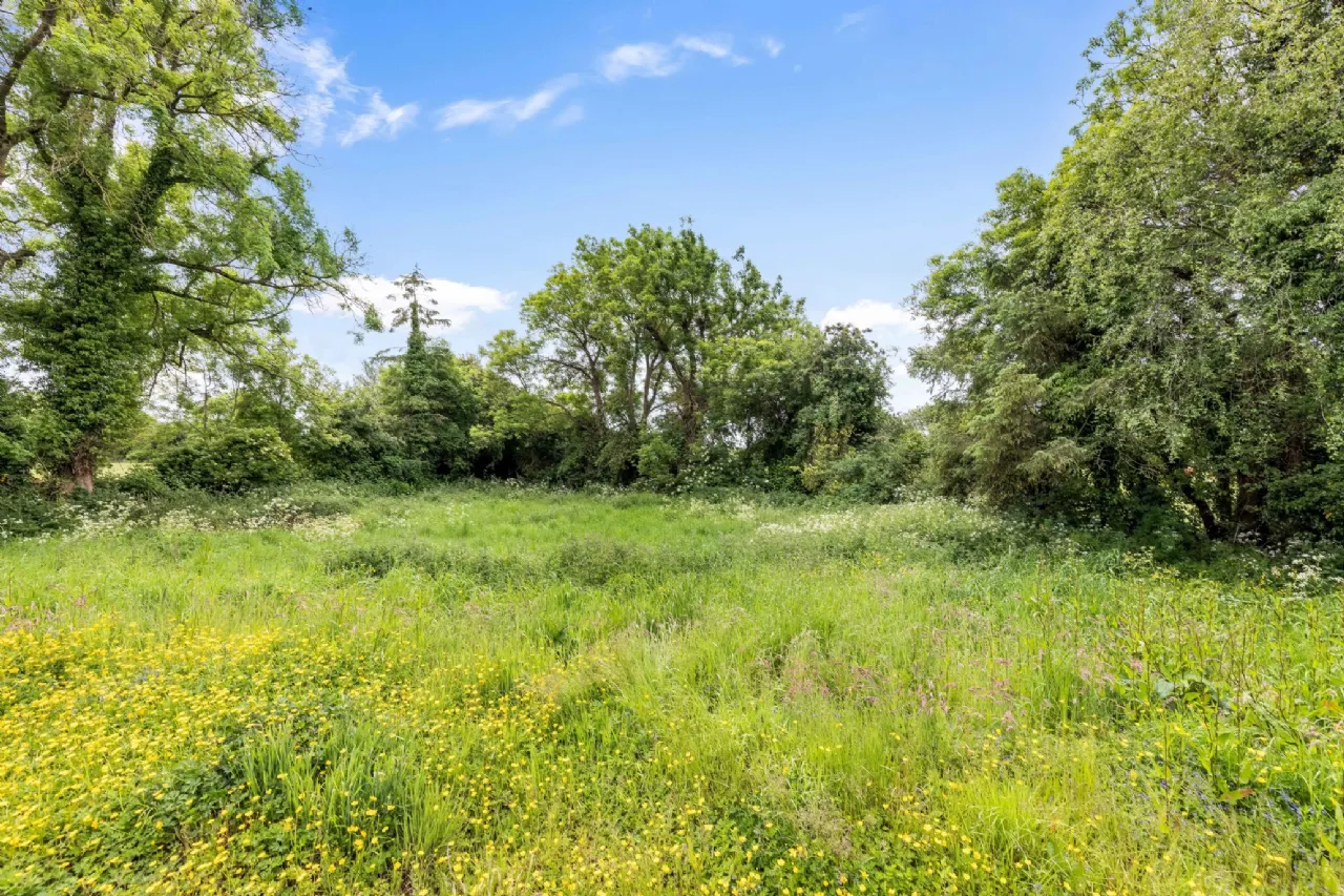 Photo of Crowpark, Kildalkey Road, Trim, Co Meath, C15A504