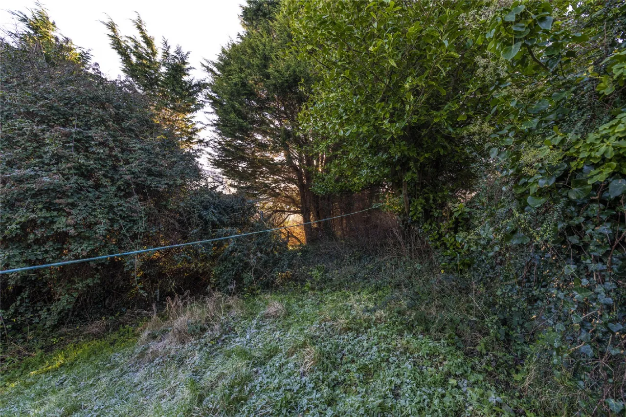 Photo of 16 Clonard Street, Balbriggan, Co. Dublin, K32 WR13