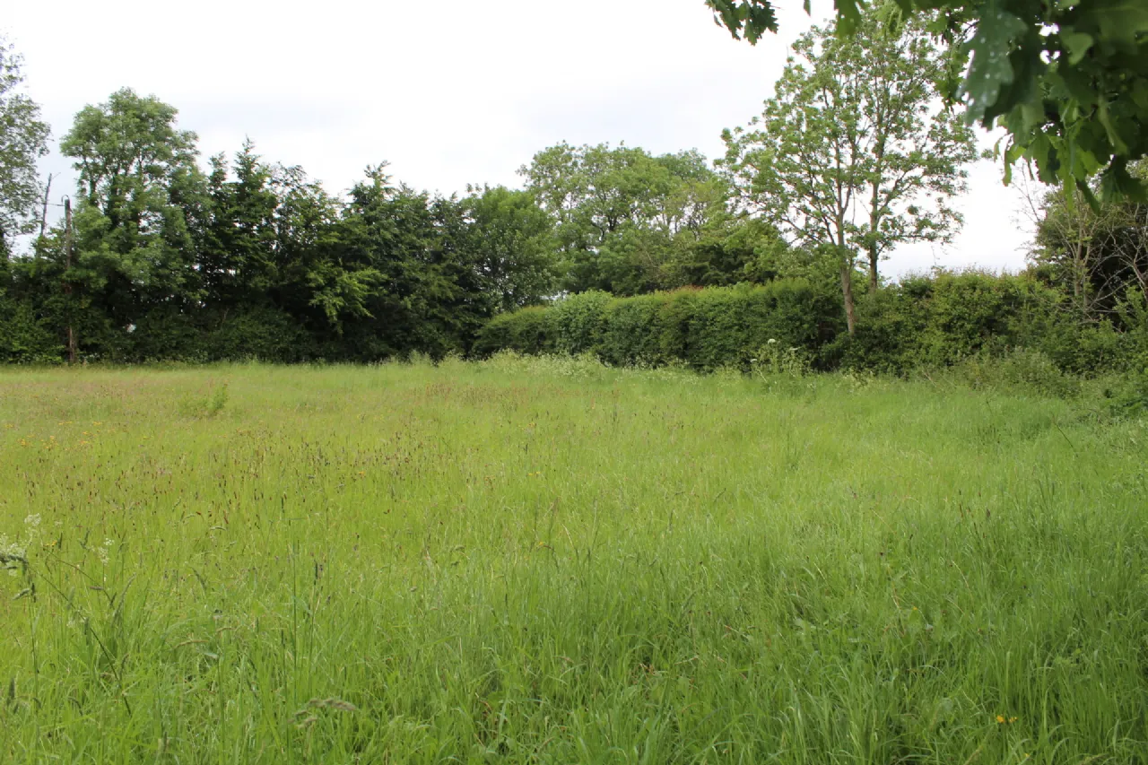 Photo of 0.75 Acre Site Slyguff, Slyguff,, Bagenalstown,, Co. Carlow