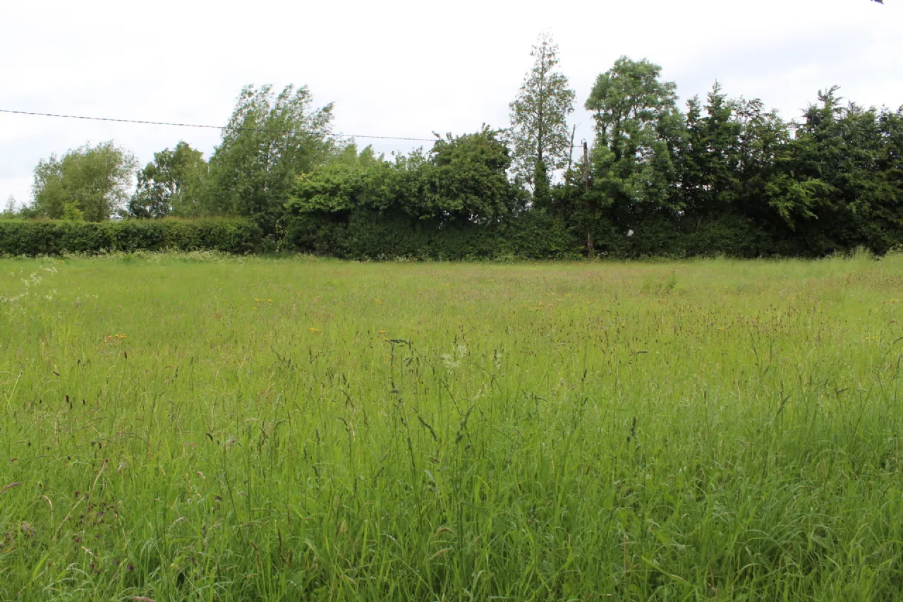 Photo of 0.75 Acre Site Slyguff, Slyguff,, Bagenalstown,, Co. Carlow