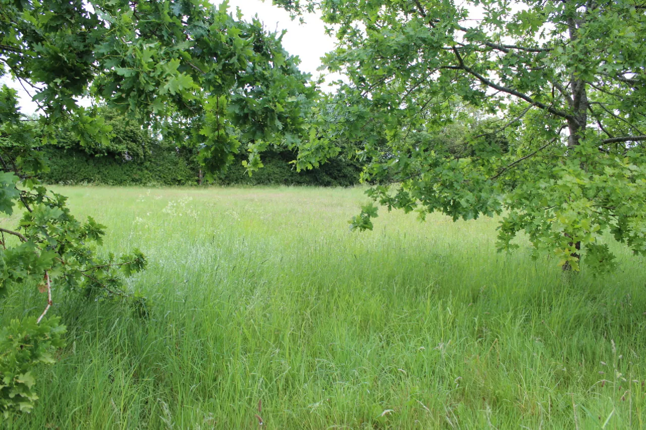 Photo of 0.75 Acre Site Slyguff, Slyguff,, Bagenalstown,, Co. Carlow