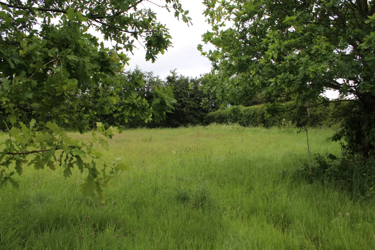 Photo of 0.75 Acre Site Slyguff, Slyguff,, Bagenalstown,, Co. Carlow
