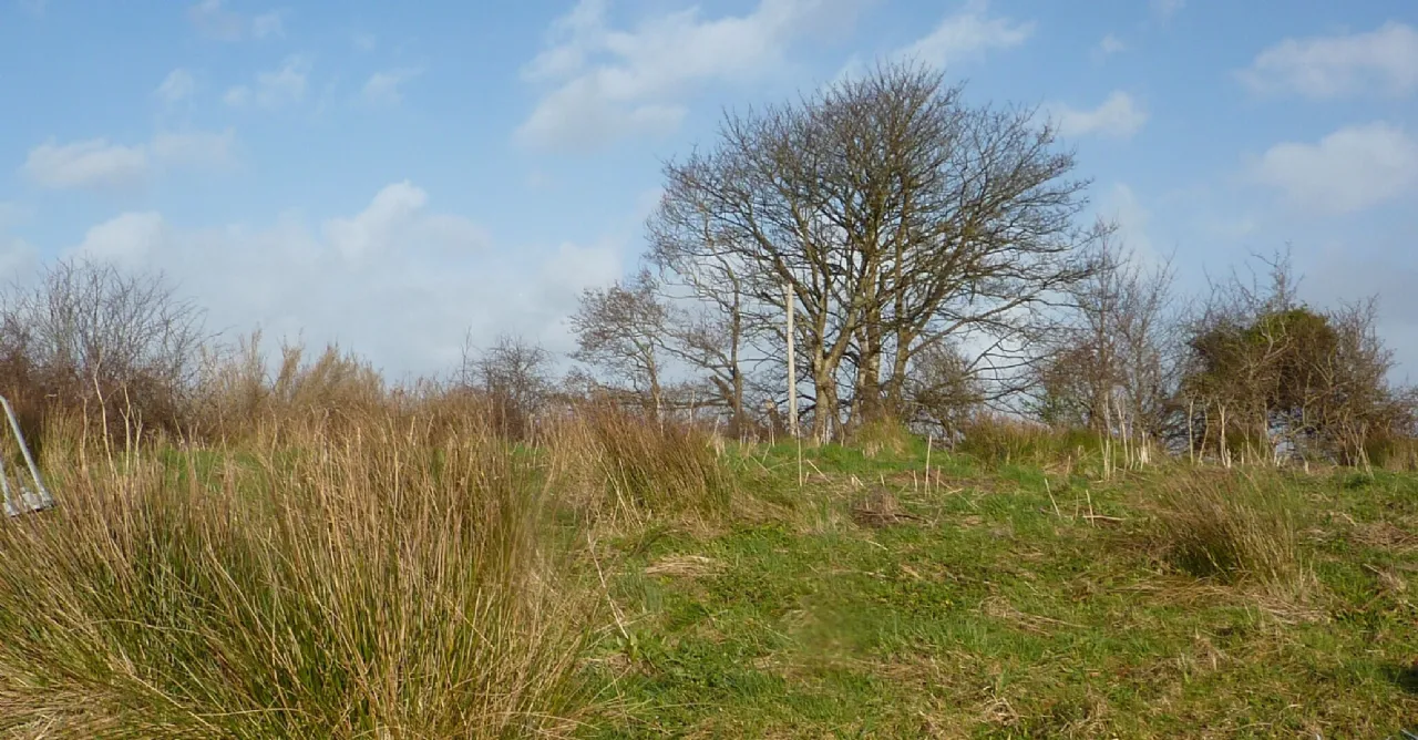 Photo of 5.24 Acres Of Land, Carrowbaun, Westport, Co Mayo